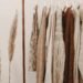 Capsule Wardrobe